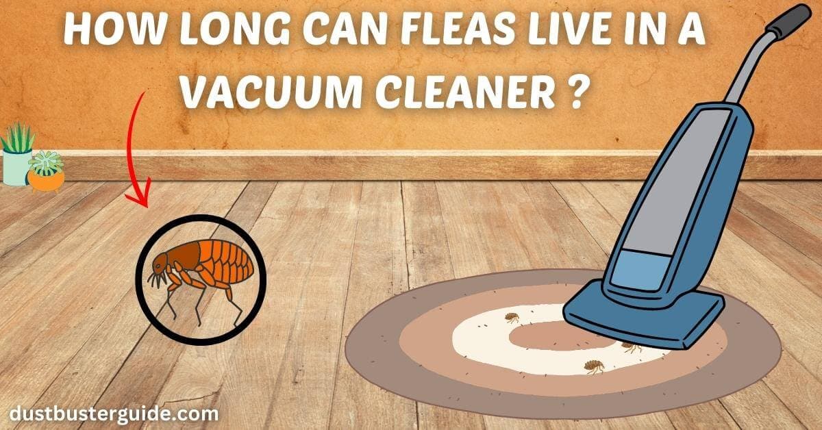how long can fleas live in a vacuum cleaner