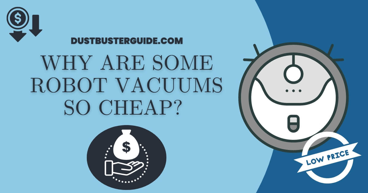 Why are some robot vacuums so cheap