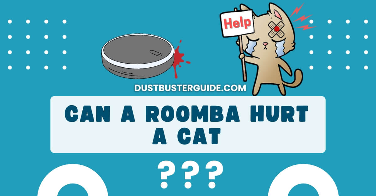 Can a roomba hurt a cat