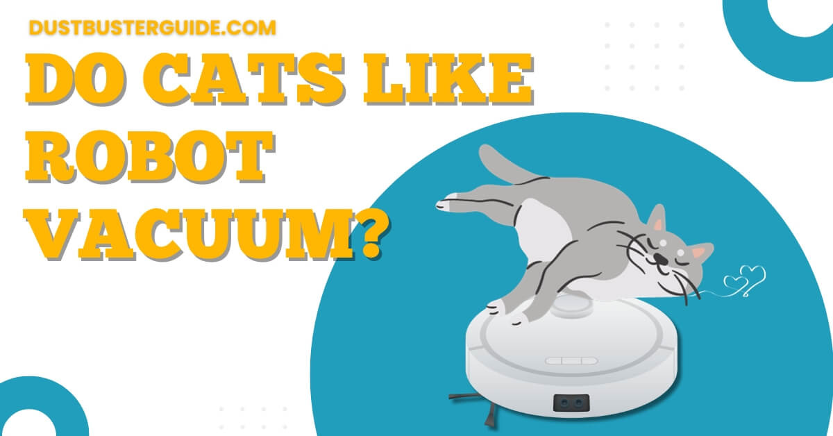 Do cats like robot vacuum